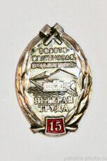 "Ветеран труда", 15 лет, золото-платиновая промышленность (клеймо "ММД")