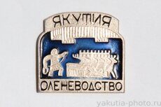 Оленеводство, Якутия